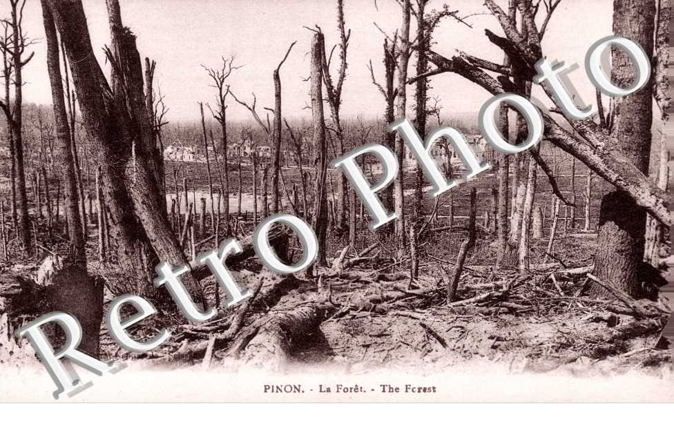 la foret