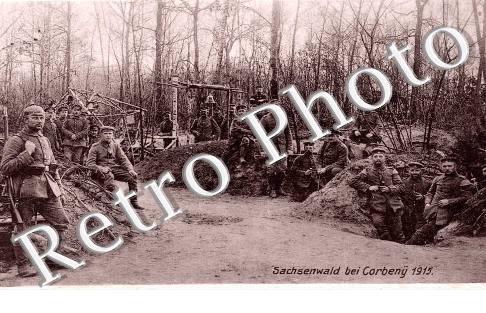 Sachsenwald 1915
