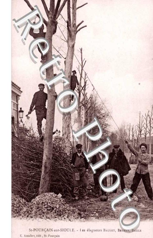 Les elagueurs Baudet, Brunat, Basile