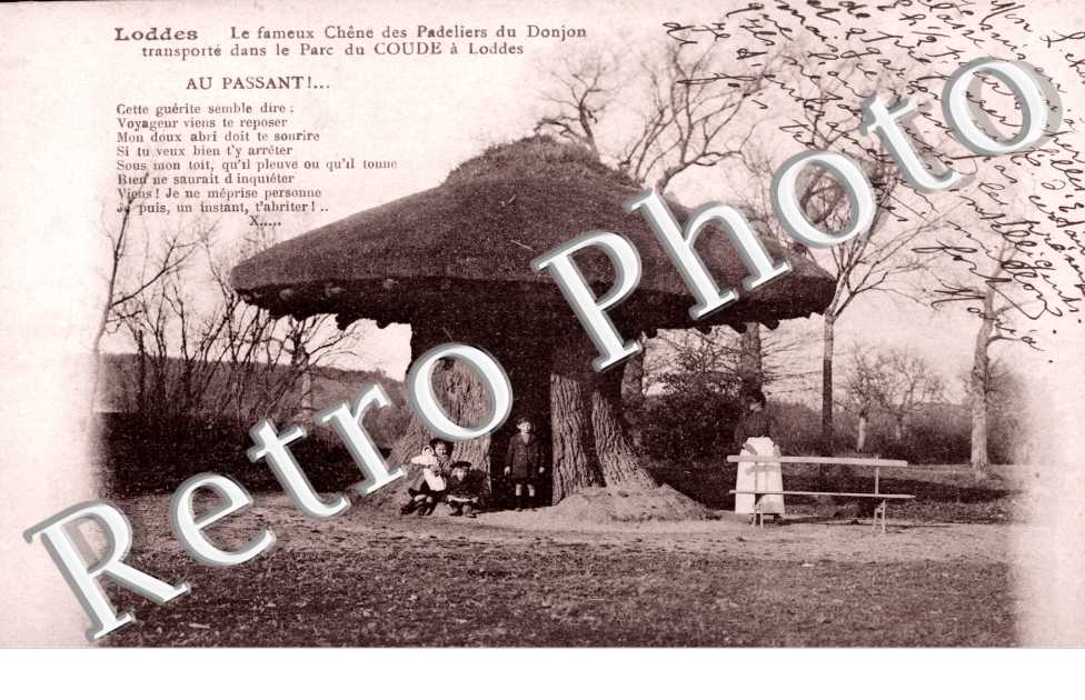 Le Chene des Padeliers du Donjon
