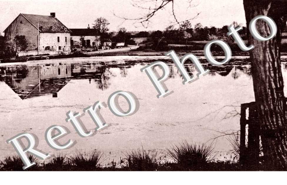 L'etang de la planche