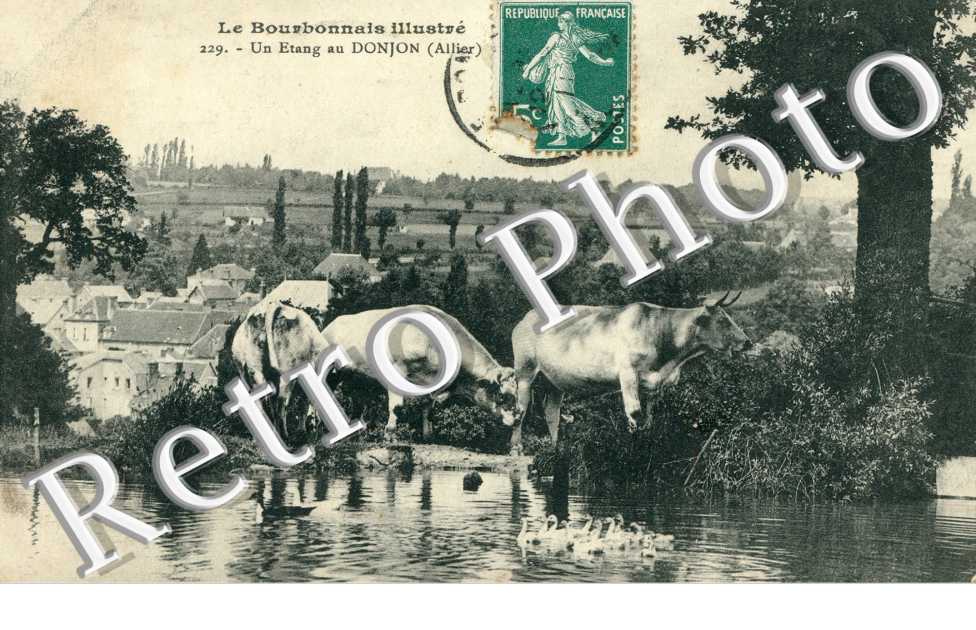 Un Etang