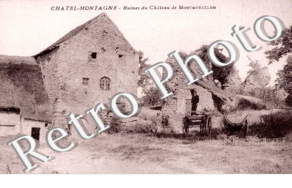 Ruines du Chateau de Montmorillon