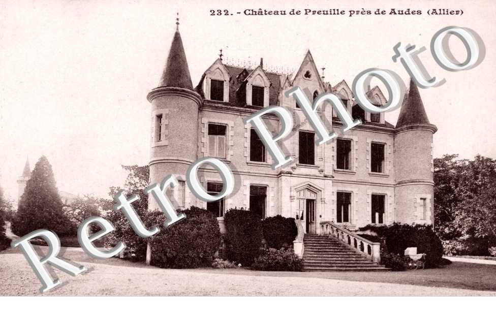 Chateau de Preuille