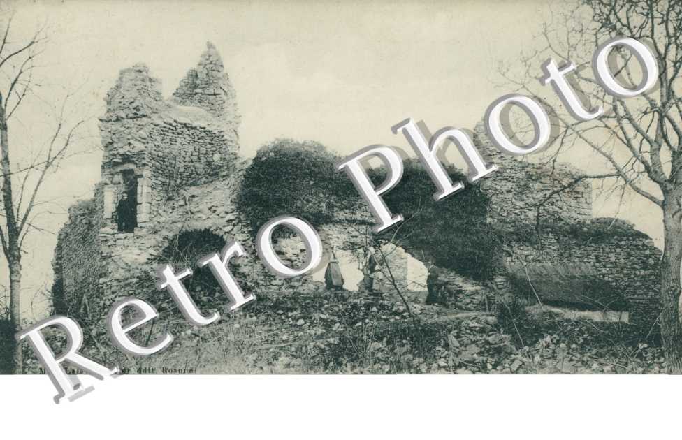 Ruines du Chateau de Montmorillon