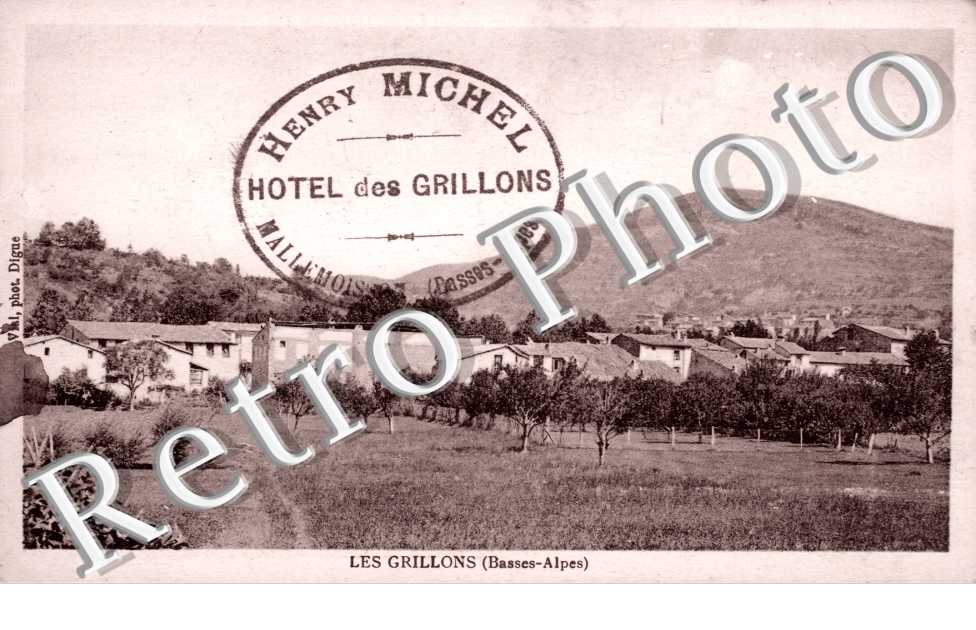 les grillons - (panorama)