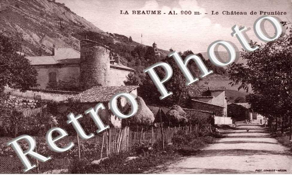 Chateau de Pruniere