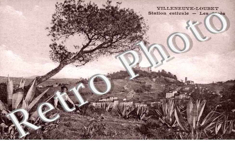 Station estivale - Les Aloes