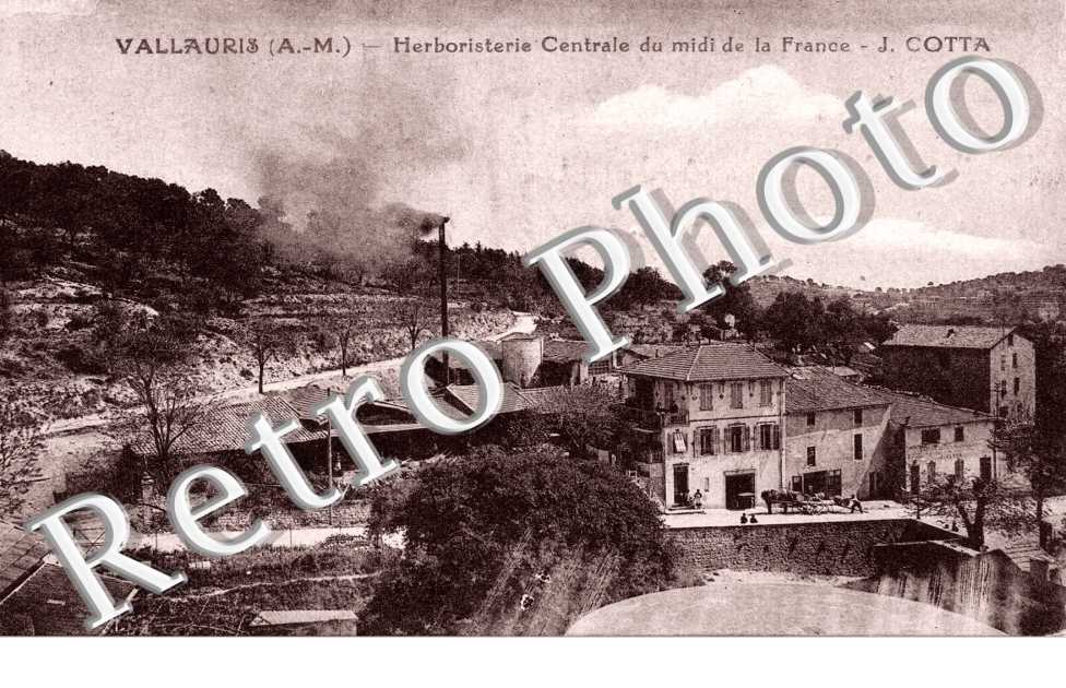 herboristerie centrale du midi de la France - J Cotta