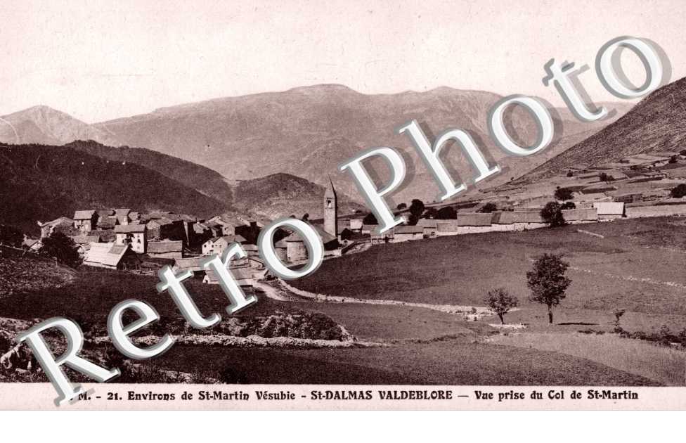 Saint-Dalmas (vue generale)