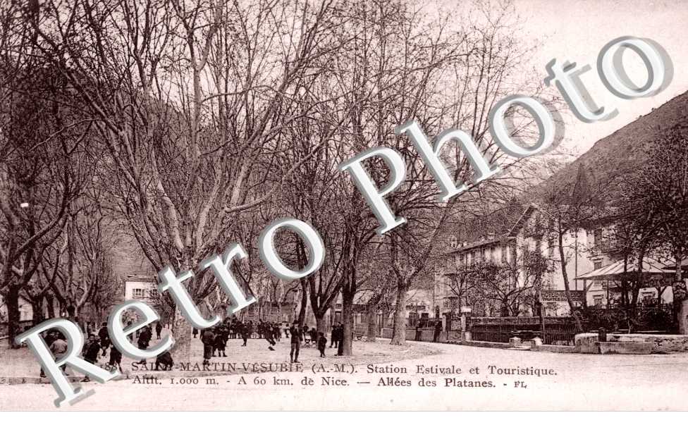 Station estivale et touristique  - allee des platanes