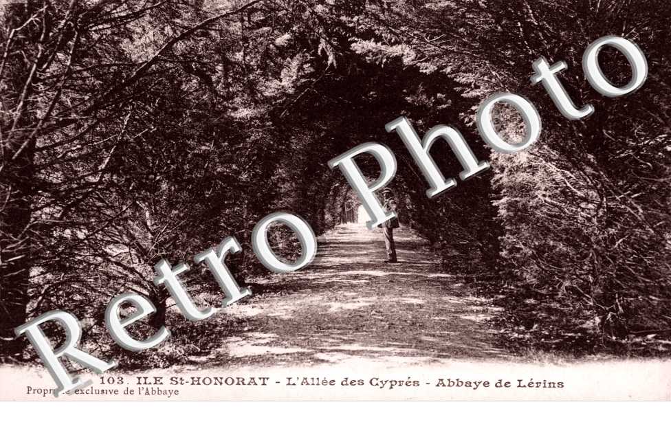 Ile St-Honorat - abbaye de Lerins