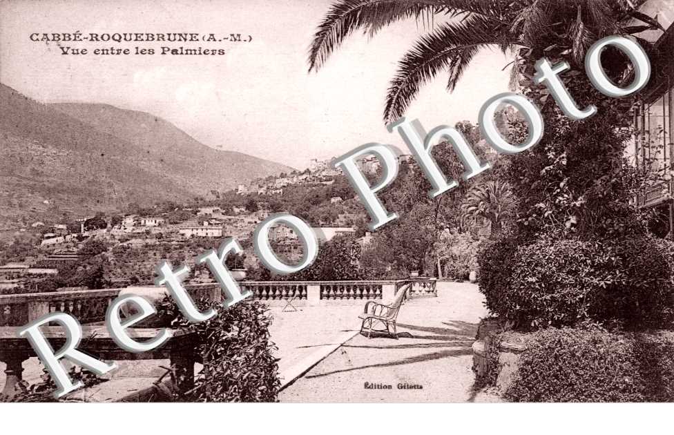 Vue entre les Palmiers