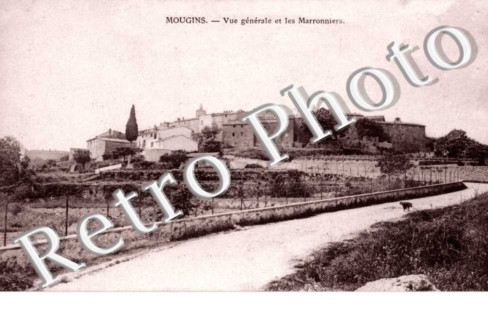 vue generale et les marronniers