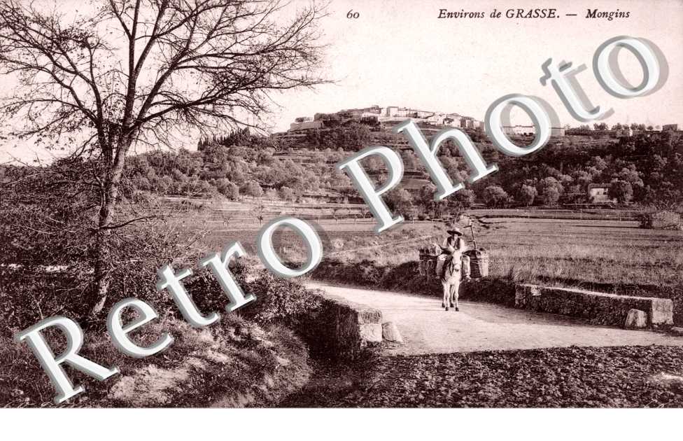vue generale - Pont