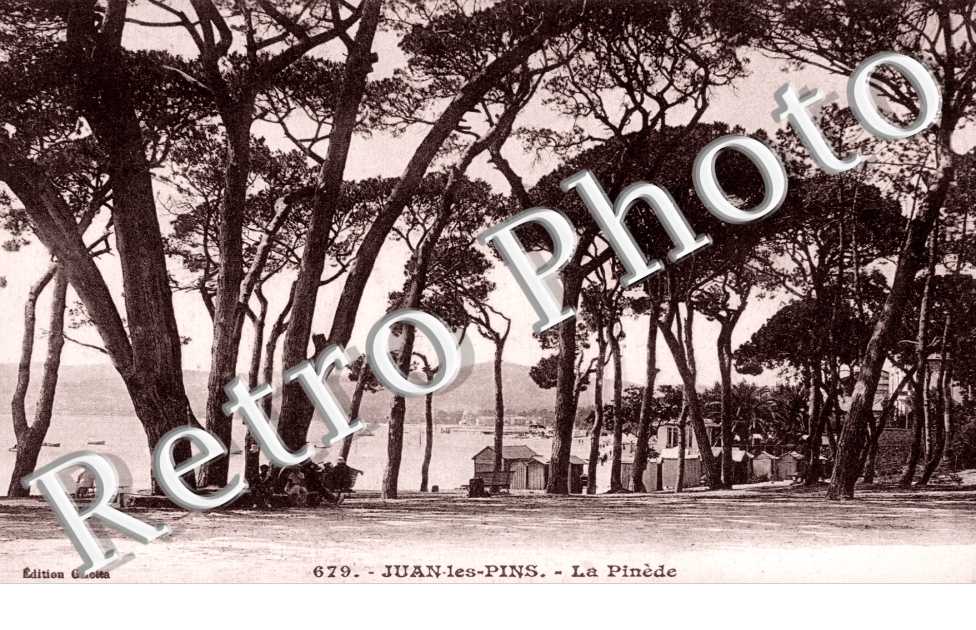 La Pinede