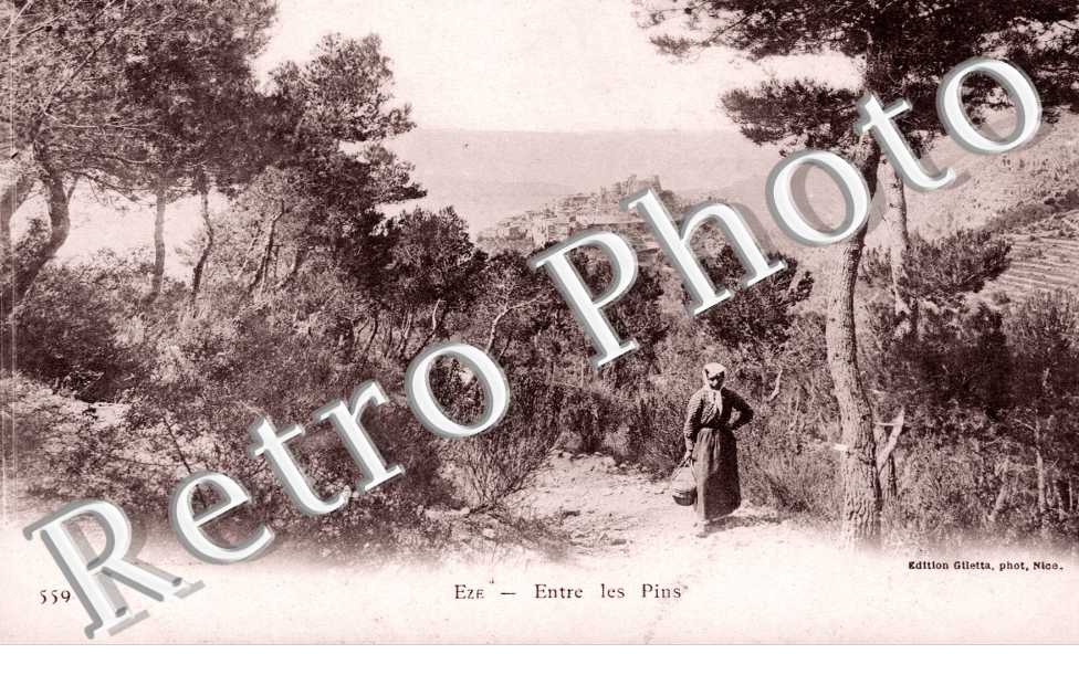 Entre les Pins