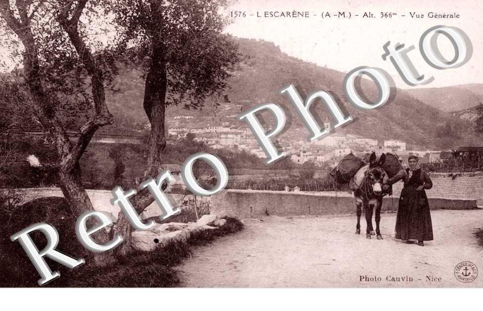 Vue generale