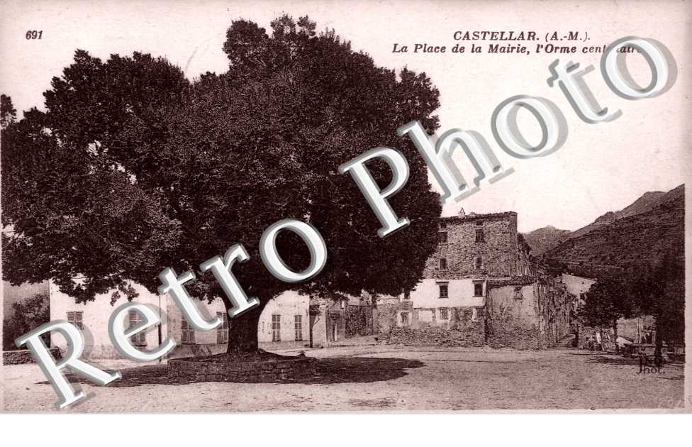 La place de la mairie - Orme centenaire