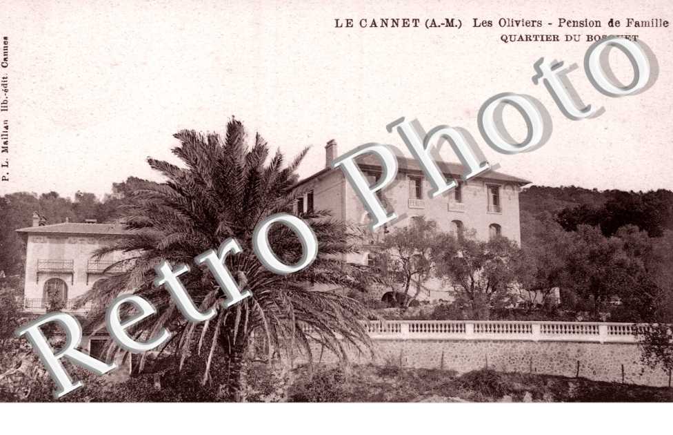 Les Oliviers - Pension de famille