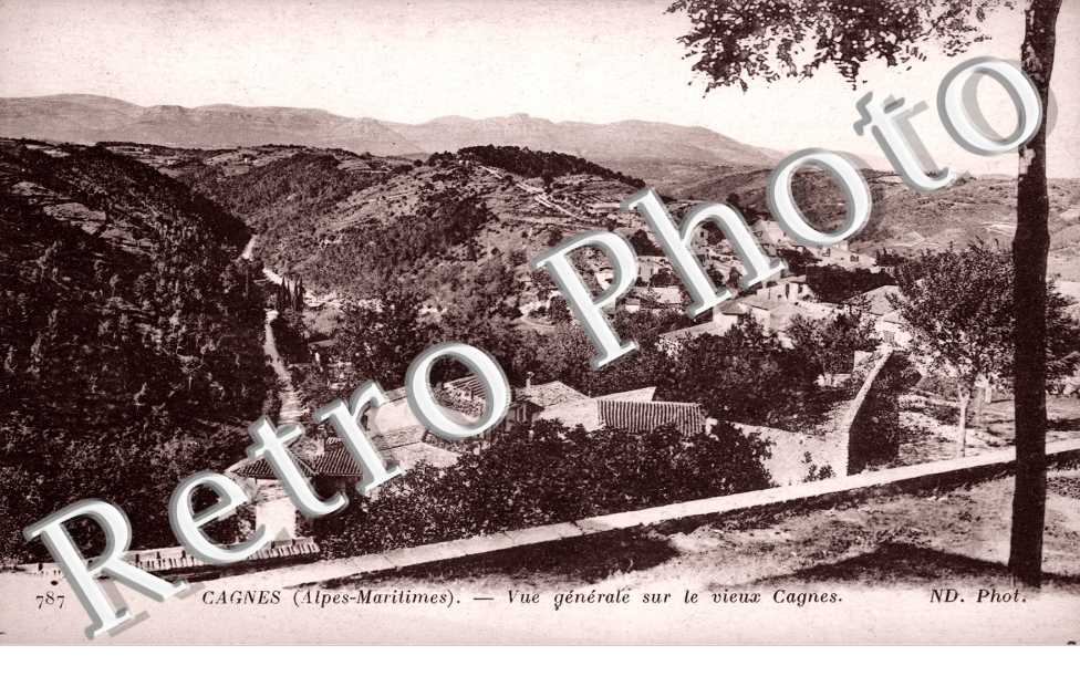 Vue Generale sur le vieux Cagnes