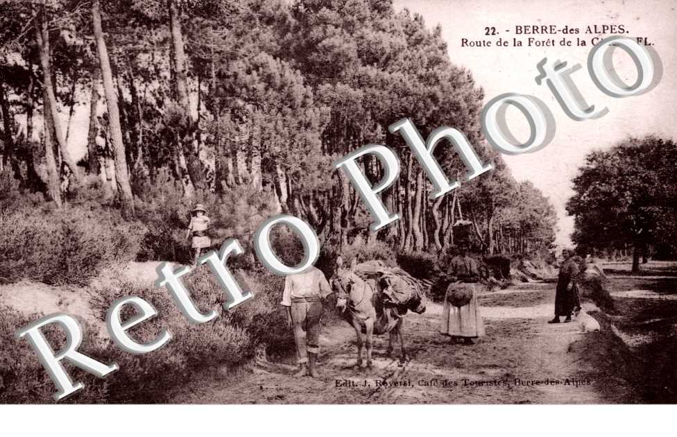 Route de la foret de la Cene