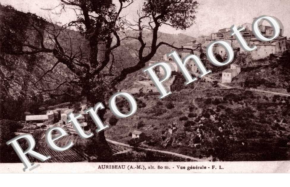 Vue generale