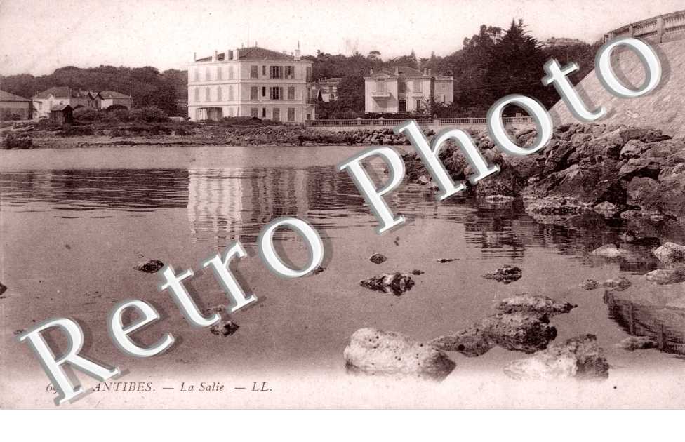 La salie