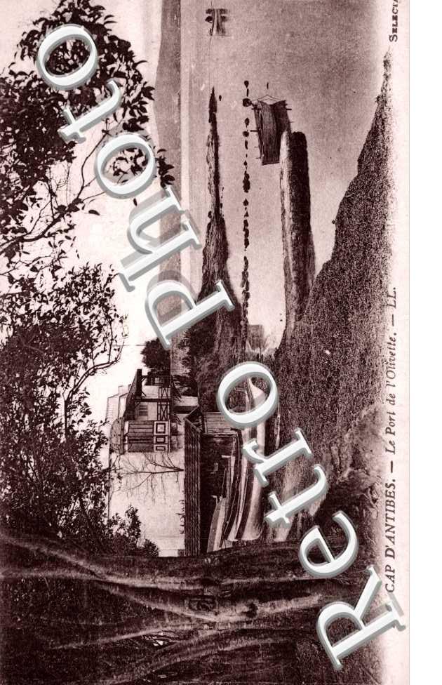 Port de l'Olivette