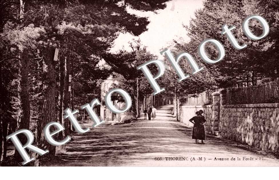 Thorenc - Avenue de la Foret
