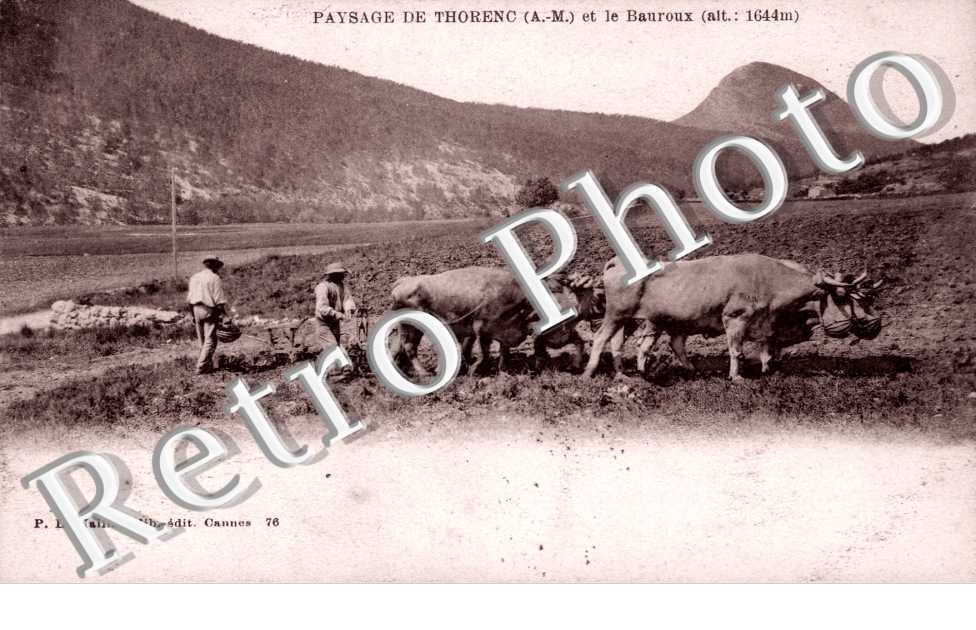 Paysage et le Bauroux