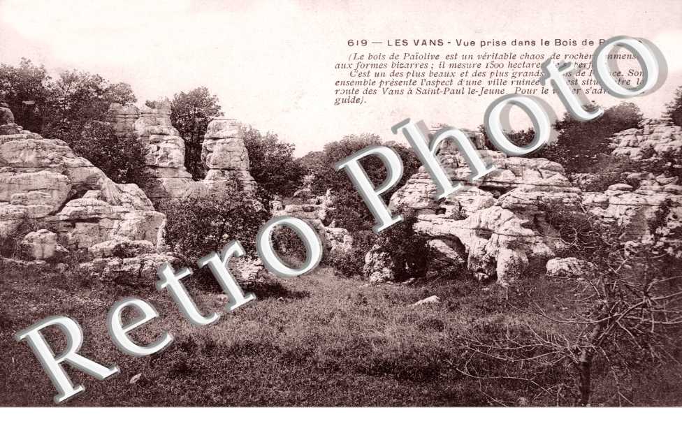 Bois de Paiolive