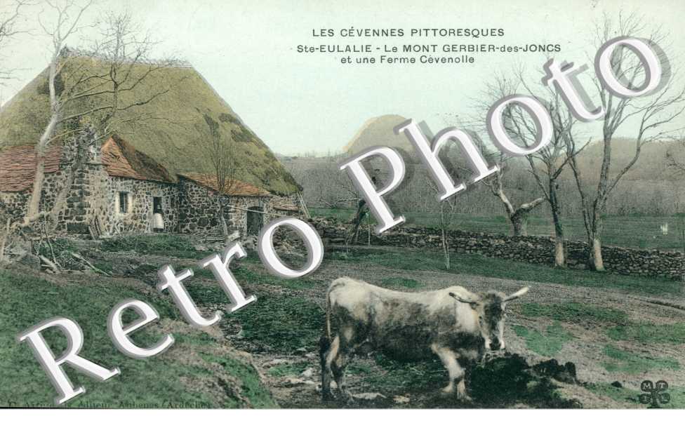 Le Mont Gerbier des Joncs et une ferme cevenole