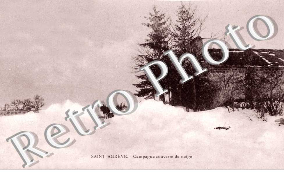 Campagne couverte de neige