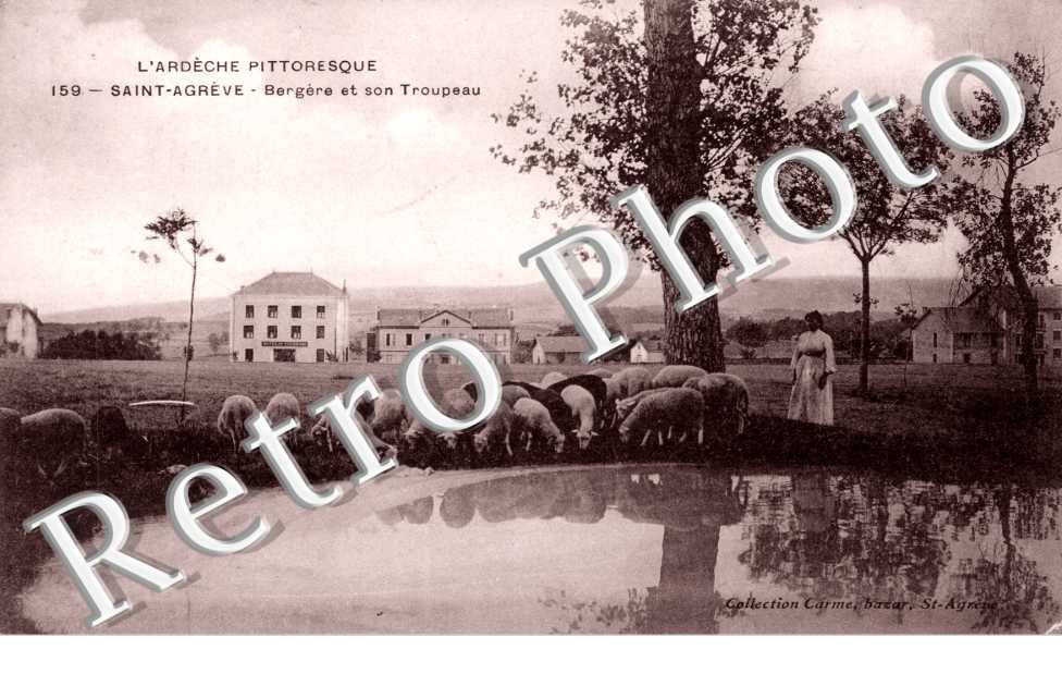 Bergere et son troupeau