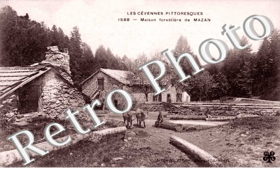Maison forestiere