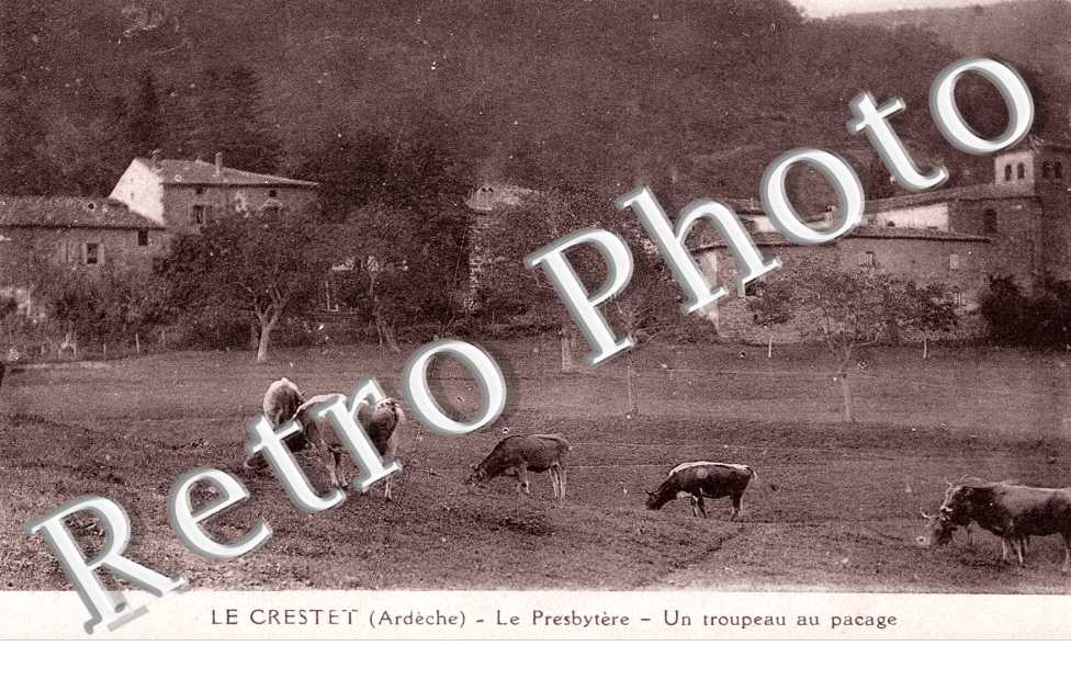 presbytere - un troupeau au pacage