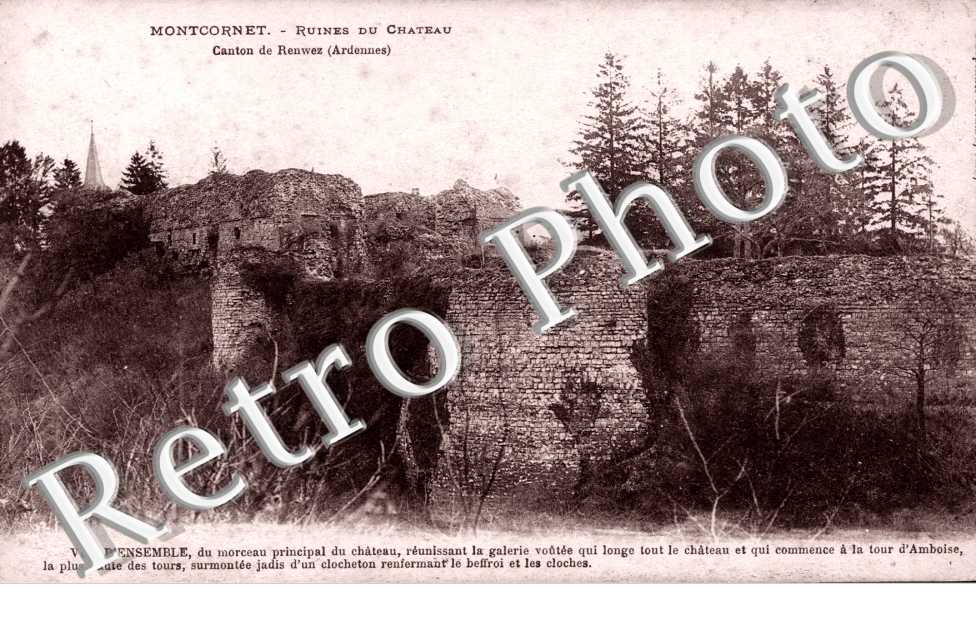 ruines du chateau