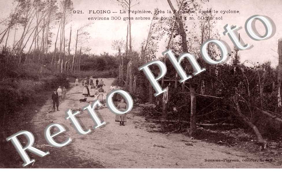 la pepiniere, pres la fontaine apres le cyclone