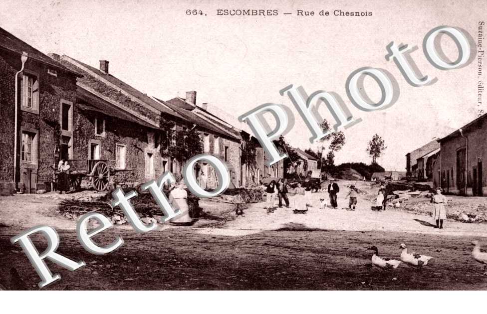 rue de Chesnois