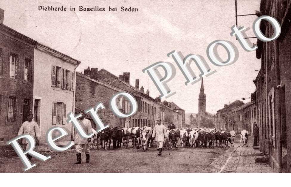 viehherde in bazeilles bei sedan