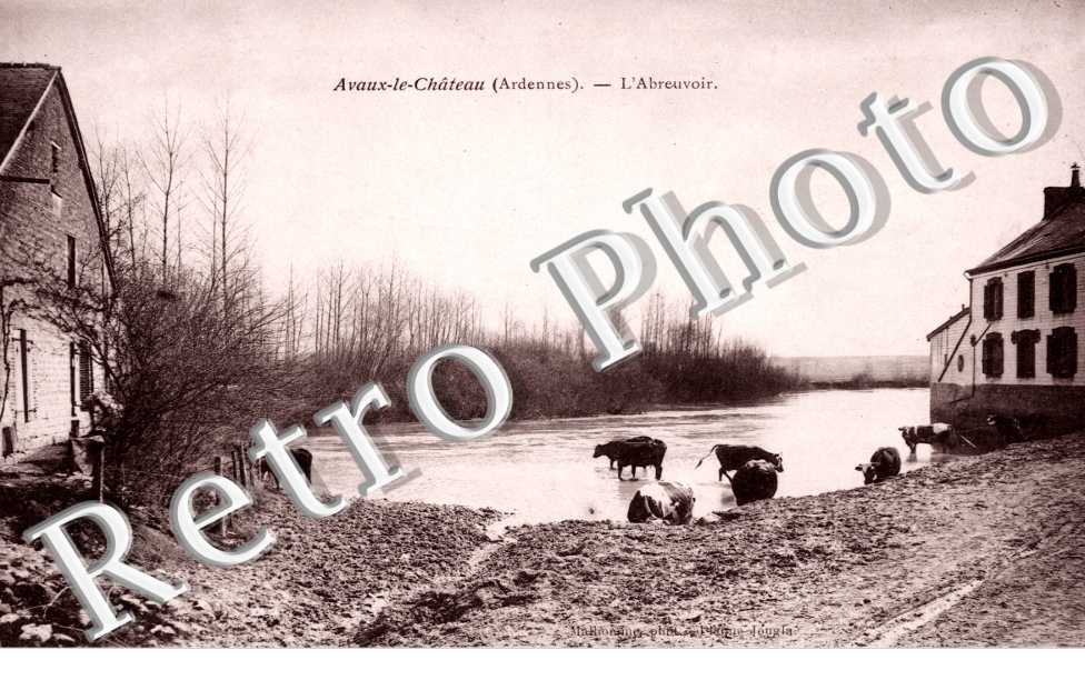 l'abreuvoir