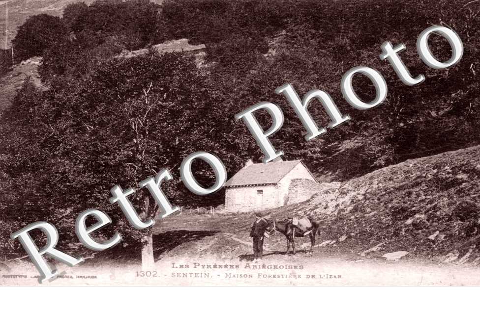 maison forestiere