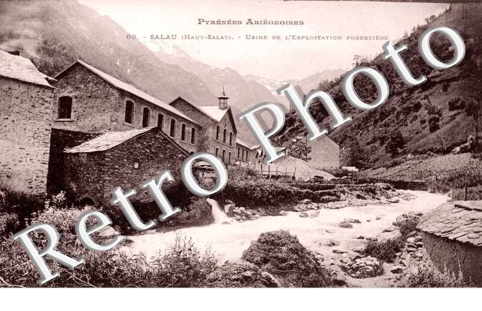 usine de l'exploitation forestiere