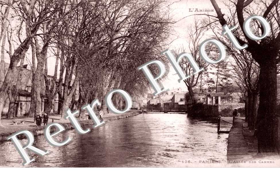 l'allee des Carmes