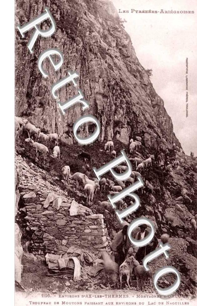 troupeau de moutons