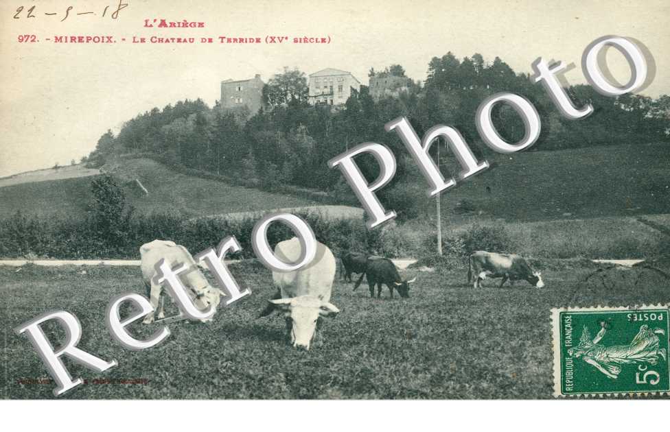 le chateau de Terride