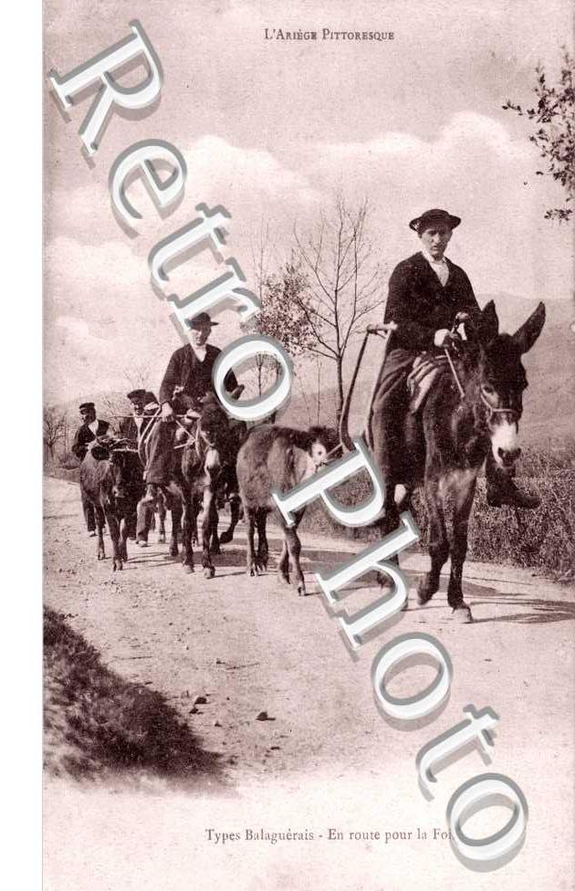 types de Balaguerais en route pour la foire