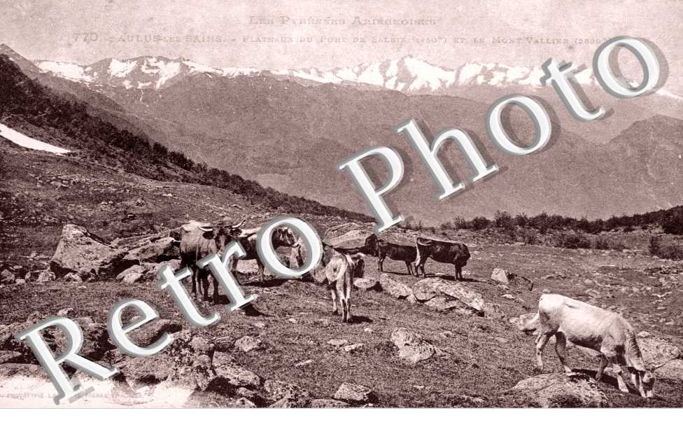 plateaux du port de Saleix et le Mont Vallierl