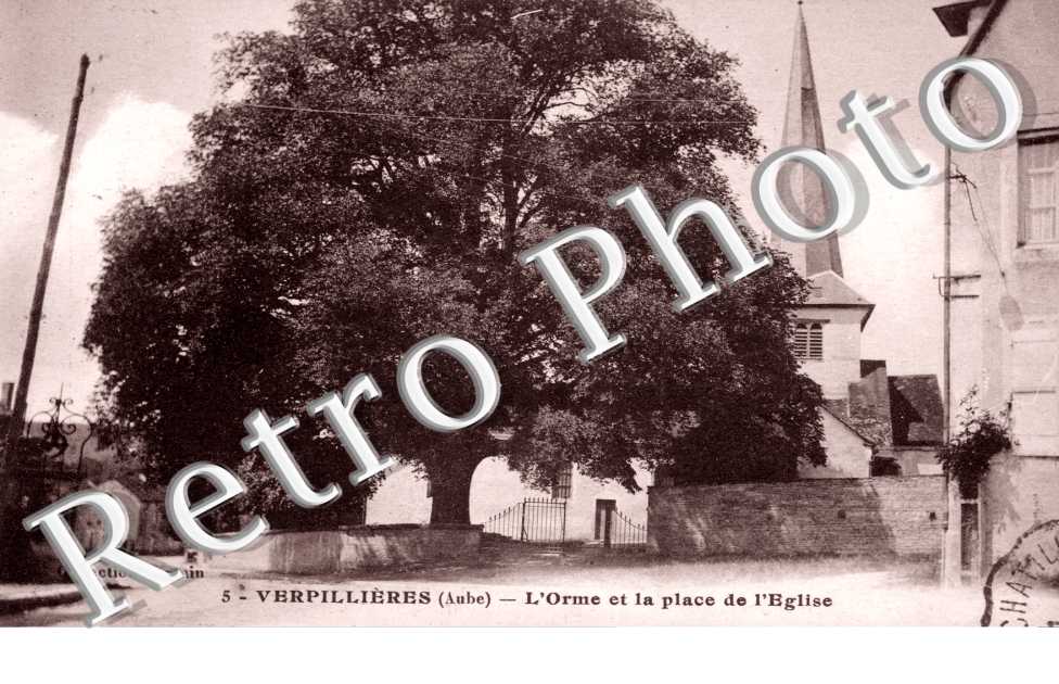 L'Orme et la Place de l'Eglise